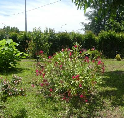 Chambre chez l'habitant à Albi