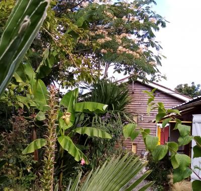Chambre chez l'habitant rezé