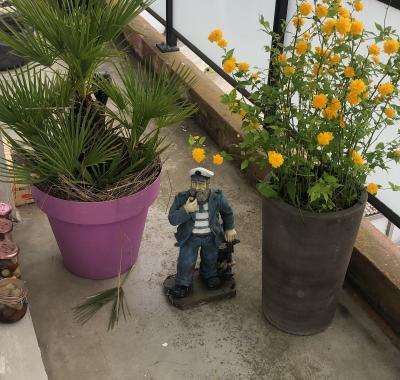 Appartement centre ville