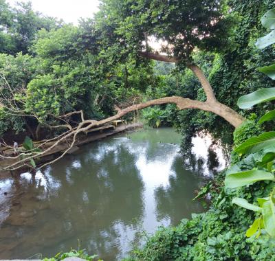 Chambre chez L'Habitant