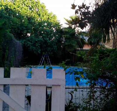 Chambre chez l'habitant