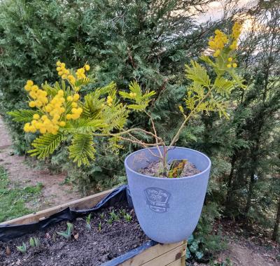 Chambre à louer pour Centrale Nucléaire de BELLEVILLE