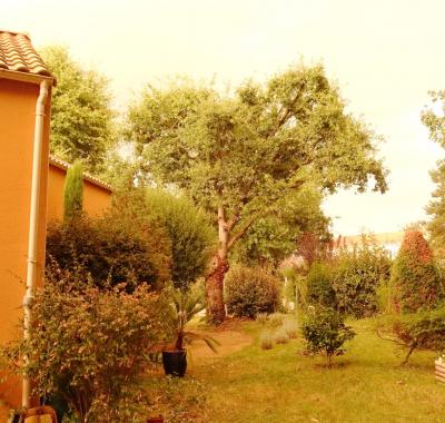 Festival Hellfest Espace dans le jardin !