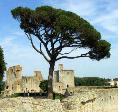 Festival Hellfest Espace dans le jardin !