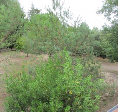 Idéal touristes/apprenti/suite spacieuse chez l'habitant