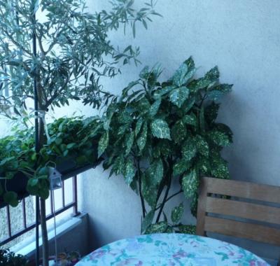 Canapé-lit confortable dans salon