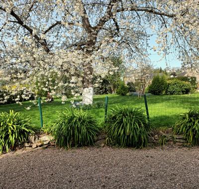 Chambre àç louer Pleudihen