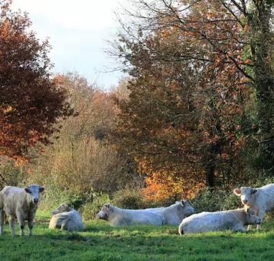 Chambre avec sdb privative dans maison de charme