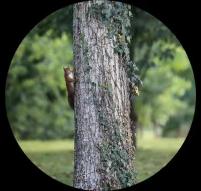 Chambre avec sdb privative dans maison de charme