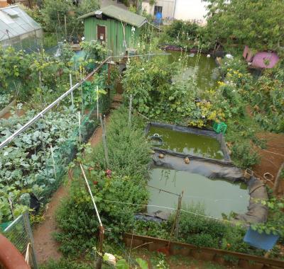 Chambres à louer en cohabitation au Luxembourg