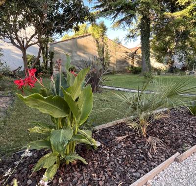 Chambre étudiante chez l'habitant