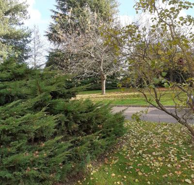 CHAMBRE DE CHARME MEUBLEE POUR ETUDIANDES A BOIS GUILLAUME