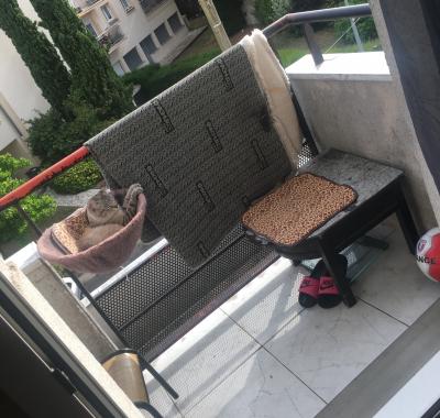 Colocation ou sou locations  (seul  )pour vacances ou travaille