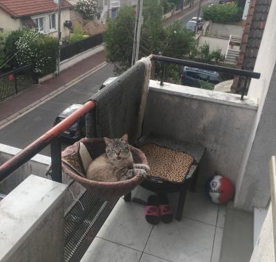 Colocation ou sou locations  (seul  )pour vacances ou travaille