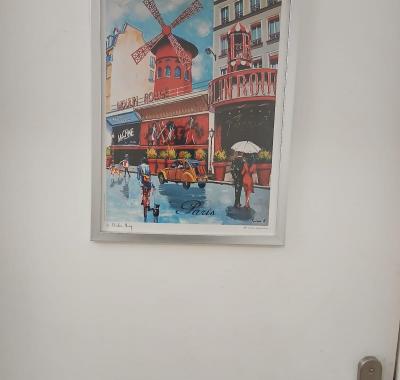 Chambre Moulin rouge, avec salle de bain privée,  Appartement Commun