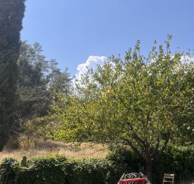 Chambre dans maison au bord de la rivière, calme, jardin