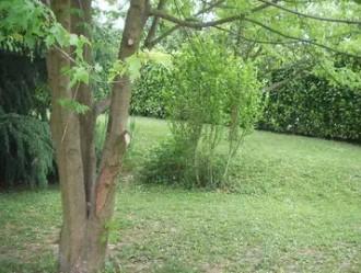 Chambre chez l'habitant lumineuse pour étudiant(e)