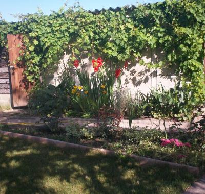 Chambre spacieuse et calme