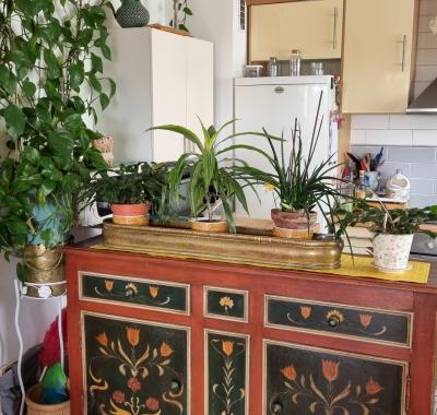 Chambre lorraine a louer