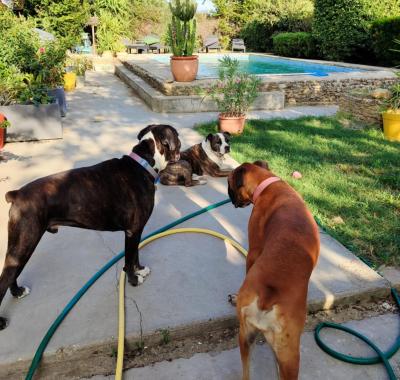 Appartement meublé à louer de façon temporaire