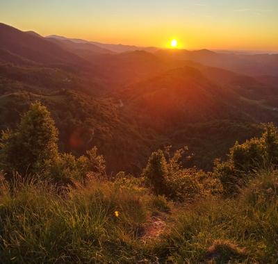 Chambre chez l'habitant à Montségur. Pour deux personnes