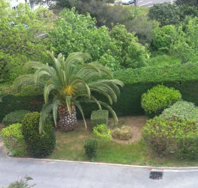 Vaste duplex avec terrasse et piscine