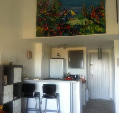 Vaste duplex avec terrasse et piscine