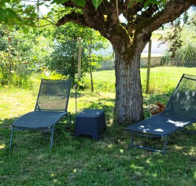 Chambres a louer a Montauban