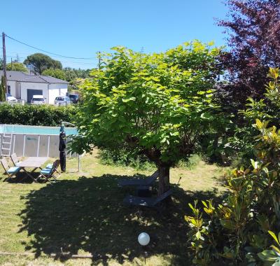 Chambres a louer a Montauban