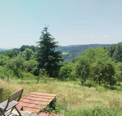 Maison en colocation avec jardin