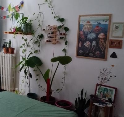 Chambre à louer à Toulouse