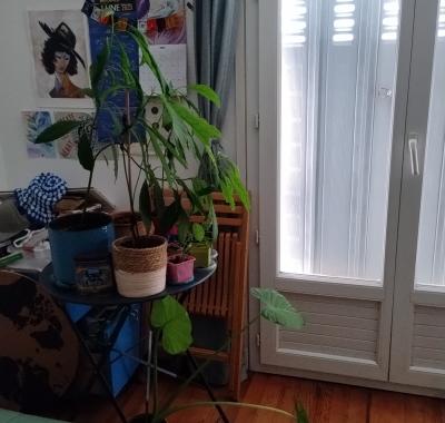 Chambre à louer à Toulouse