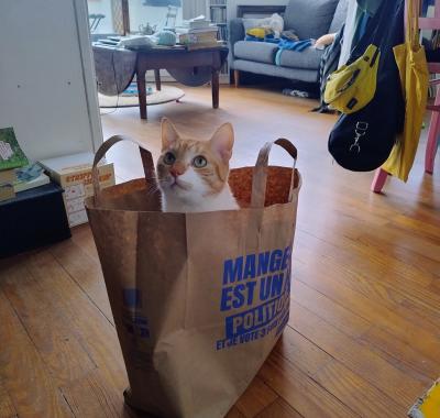 Chambre à louer à Toulouse