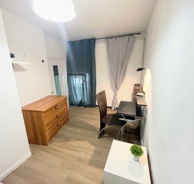 CHAMBRE MEUBLEE EN PLEIN COEUR DE LYON