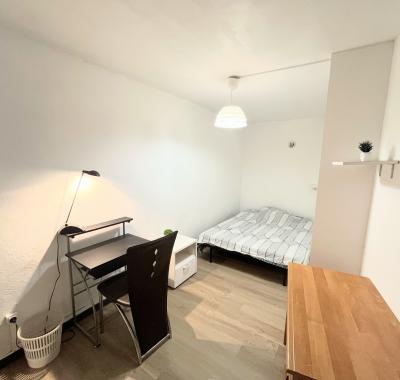 CHAMBRE MEUBLEE EN PLEIN COEUR DE LYON