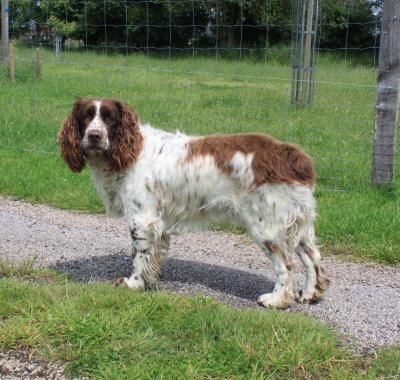 Chambre à louer chez Céline et Julien
