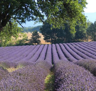 Chambre à louer dans le luberon