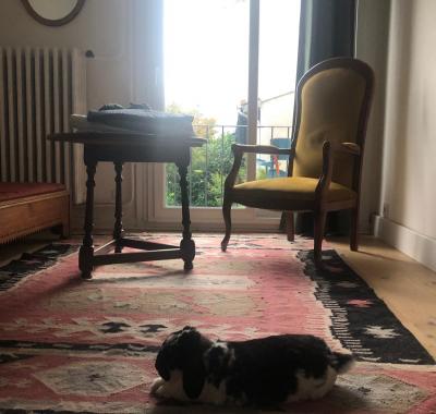 Grande chambre meublée literie neuve en 140