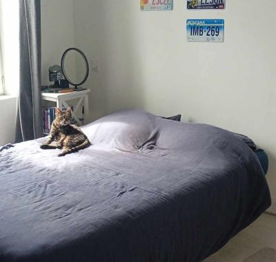 Chambre étudiant ou apprentis à Chantonnay