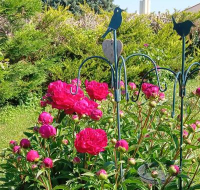 Chambre spacieuse vue jardin