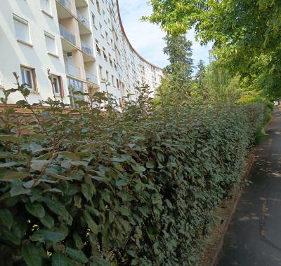 Chambre toute équipée avec frigo et micro-ondes