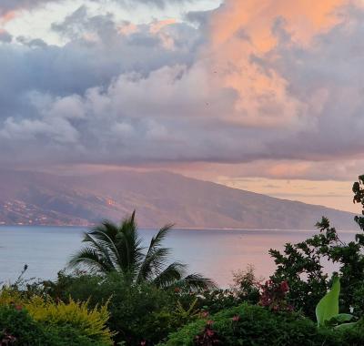 Studio équipé piscine Moorea