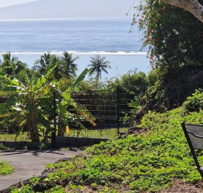 Studio équipé piscine Moorea