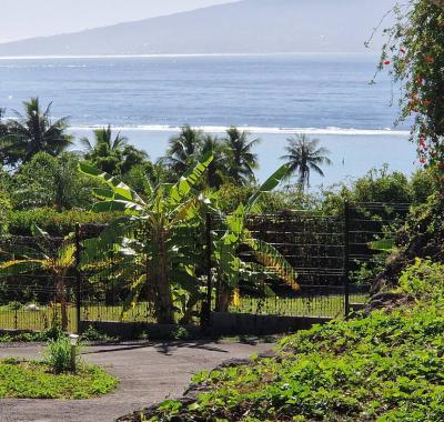 Studio équipé piscine Moorea