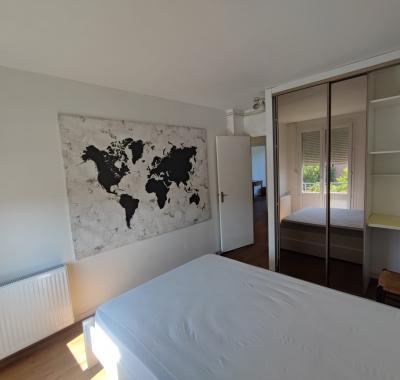 Libre immédiatement, pour long terme (un an idéalement))