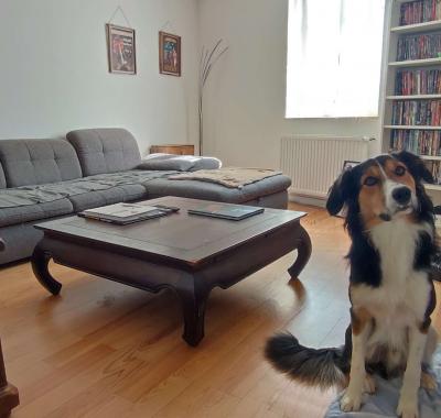 Chambre chez l'habitant