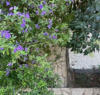 Chambre à louer dans appartement meublé avec terrasse