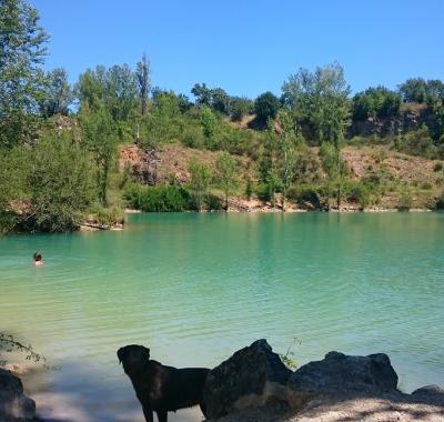 Chambre à louer dans une colocation