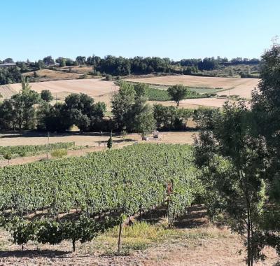 Chambre à louer dans une colocation