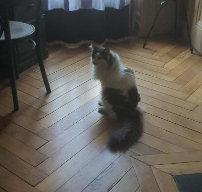 Chambre chez particulier Lyon Préfecture